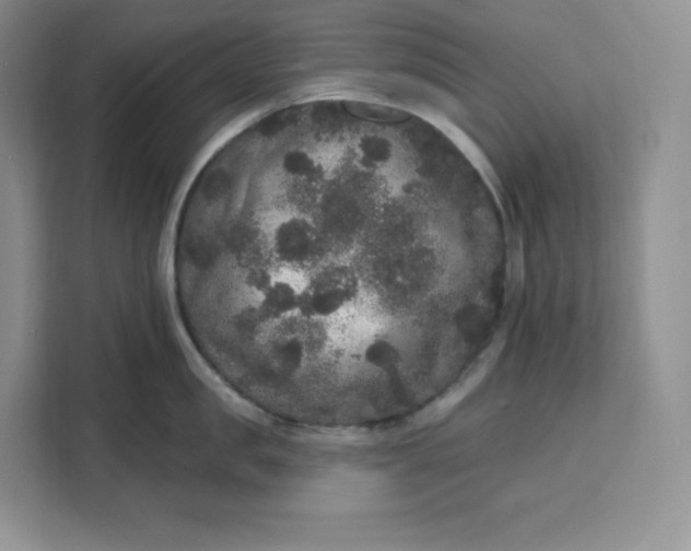 X0000111160957200907141359