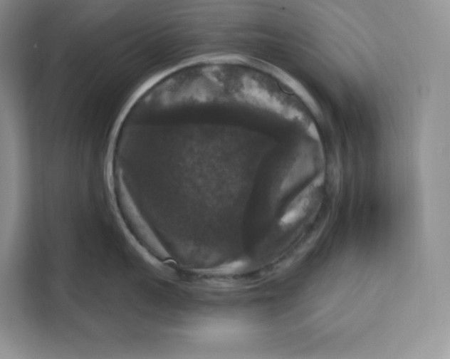 X0000111160959200907141359