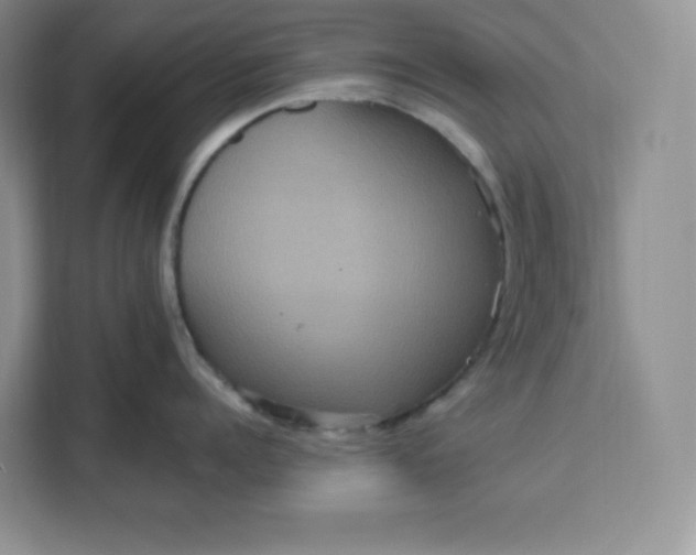 X0000111160960200907141359