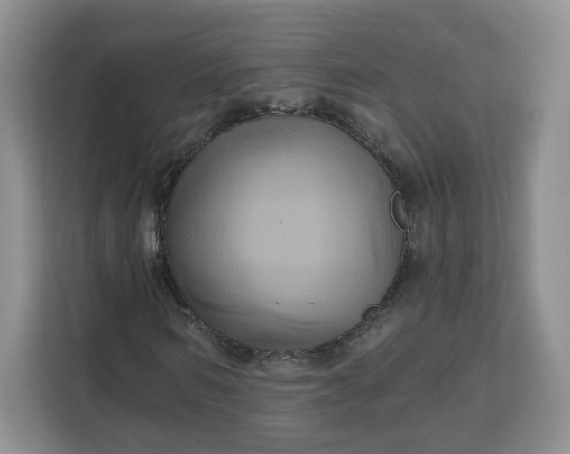 X0000111160962200907141358