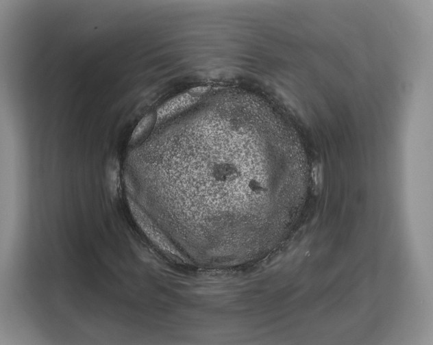 X0000111160963200907141358