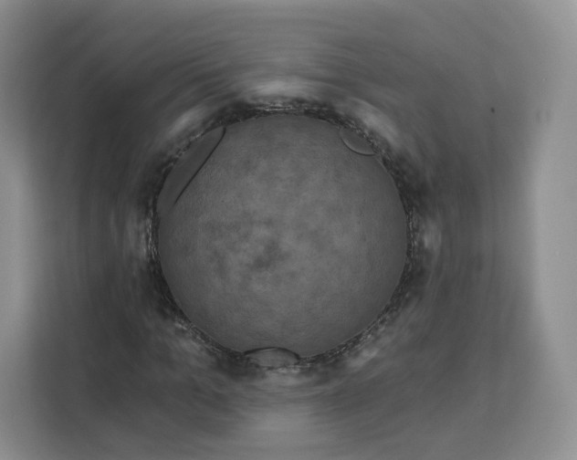 X0000111160965200907141358