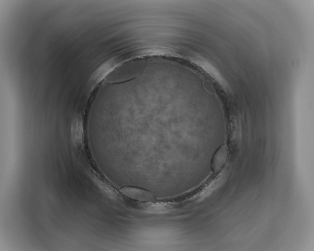 X0000111160969200907141358