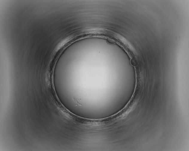 X0000111160970200907141358