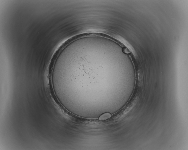 X0000111160972200907141358