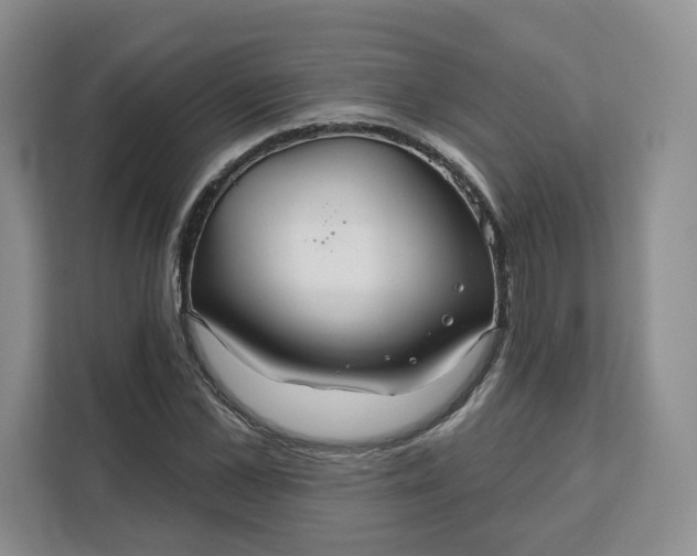 X0000111160973200907141358