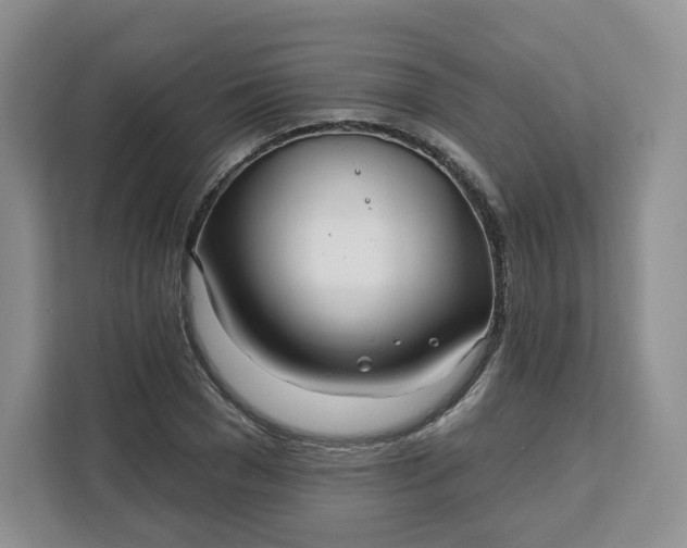 X0000111160977200907141358