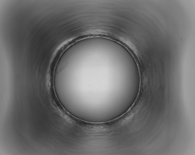 X0000111160979200907141358