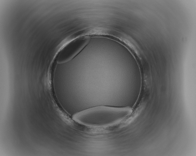 X0000111160981200907141358