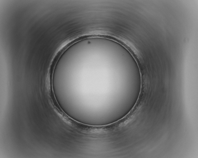 X0000111160982200907141358