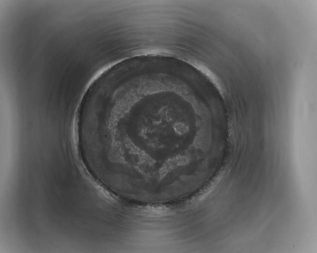 X0000111160983200907141358