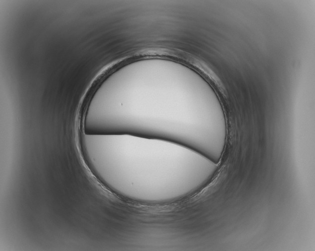 X0000111160984200907141358