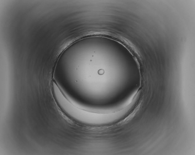X0000111160985200907141358