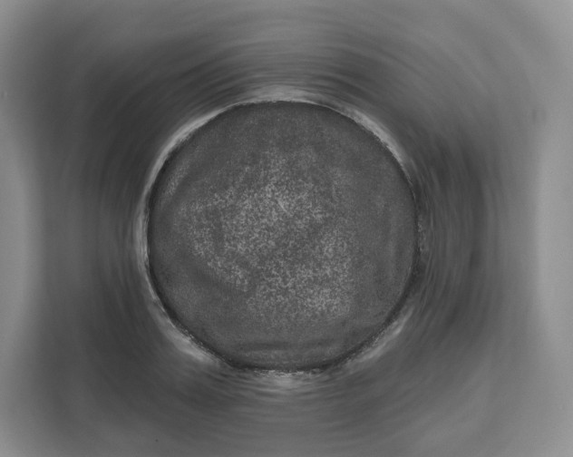 X0000111160987200907141358