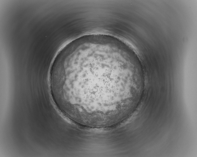 X0000111160990200907141358