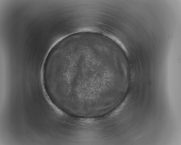 X0000111160991200907141358