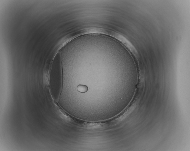 X0000111160993200907141358
