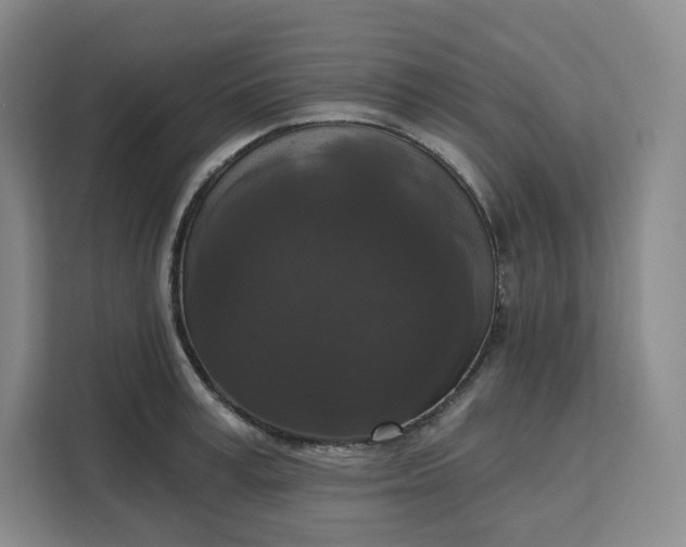 X0000111160995200907141358