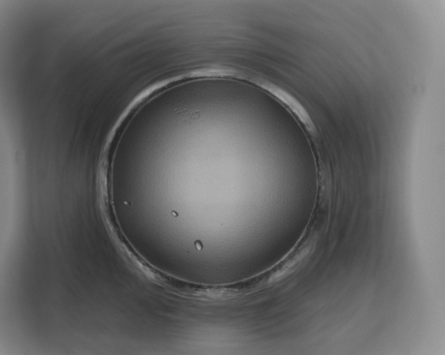 X0000111161000200907141358