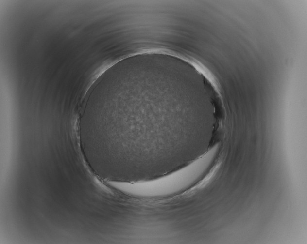 X0000111161001200907141358
