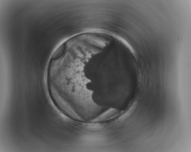 X0000111161007200907141357