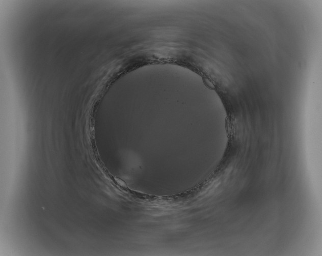 X0000111161009200907141357