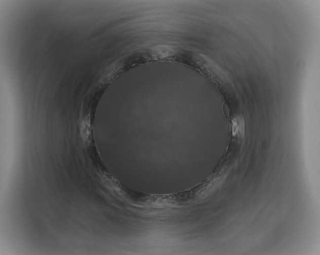 X0000111161011200907141357