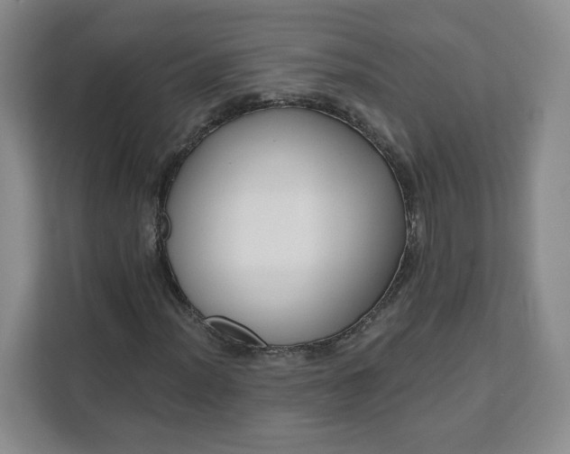 X0000111161012200907141357