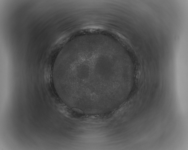 X0000111161014200907141357