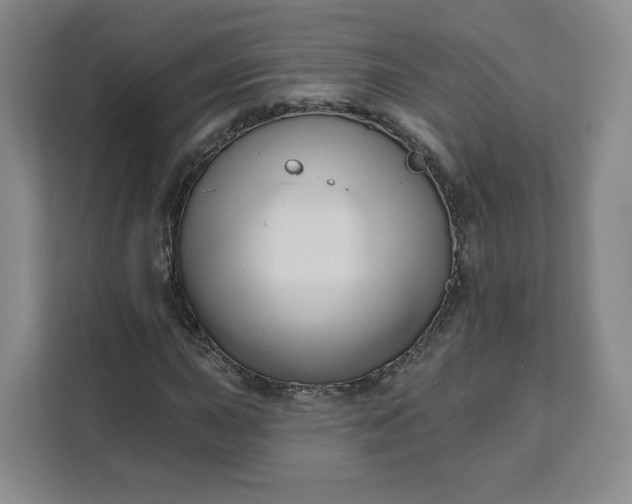 X0000111161015200907141357