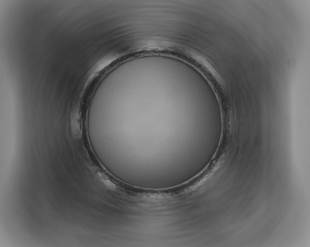X0000111161018200907141357