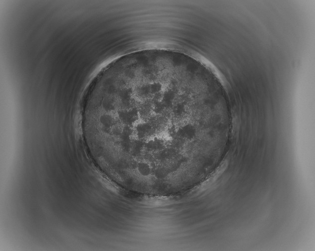 X0000111161019200907141357