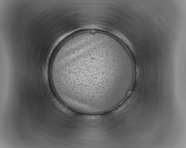 X0000111161020200907141357