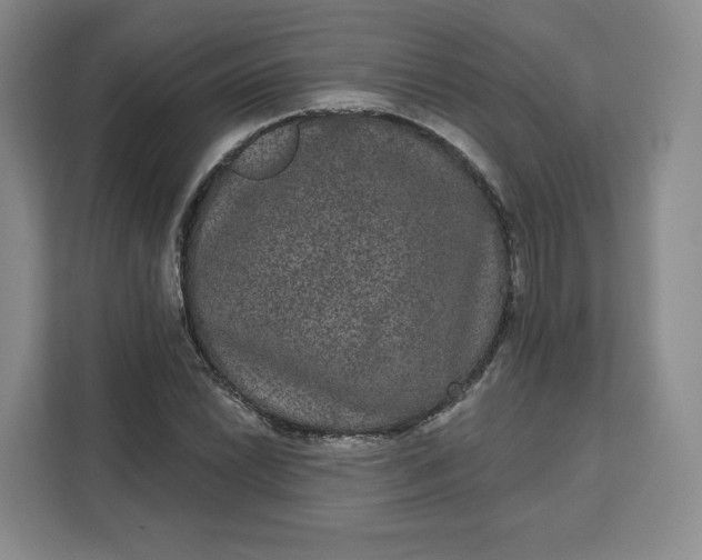 X0000111161022200907141357