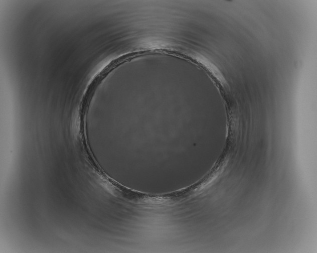 X0000111161023200907141357