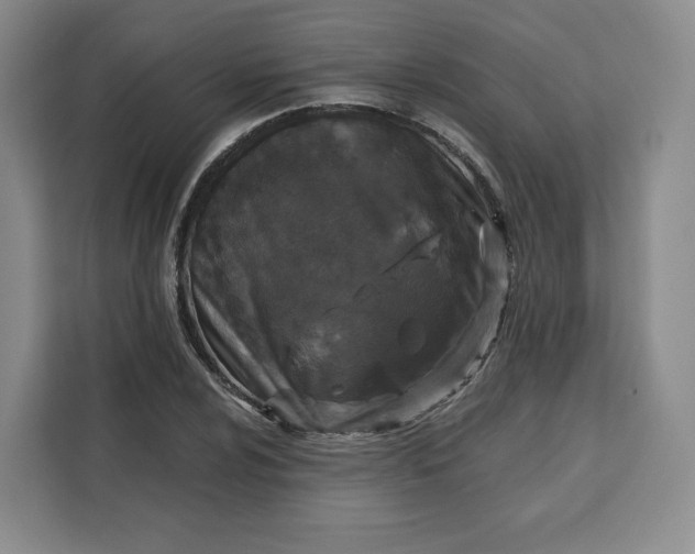 X0000111161024200907141357