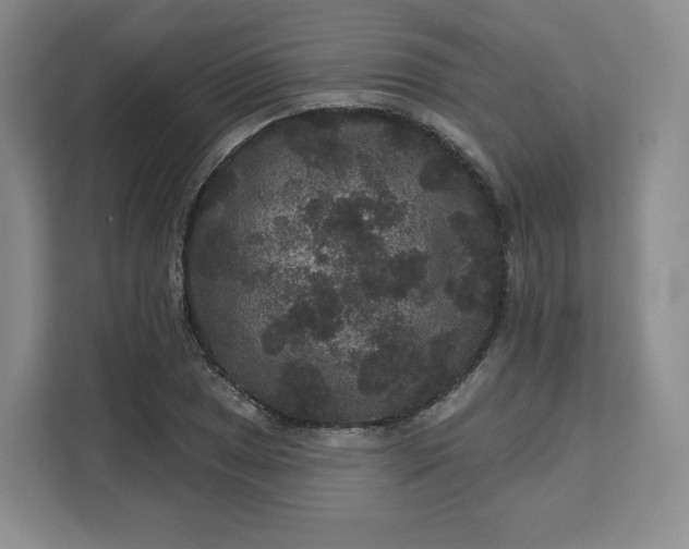 X0000111161025200907141357