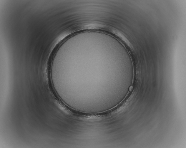X0000111161026200907141357