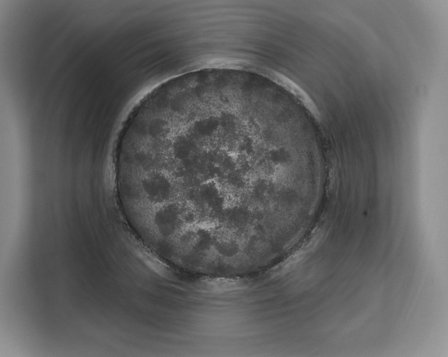 X0000111161027200907141357