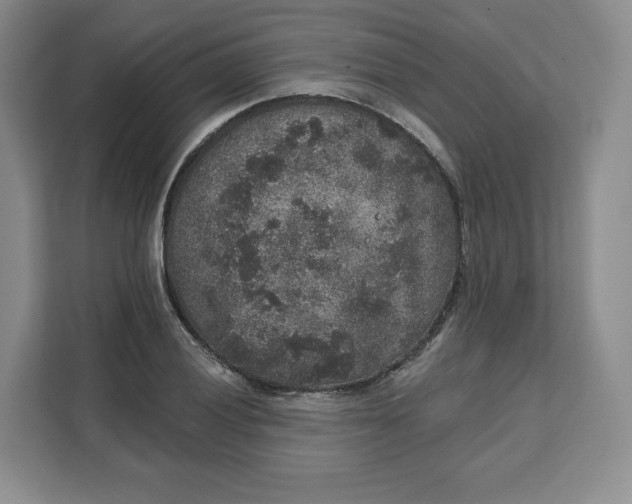 X0000111161028200907141357