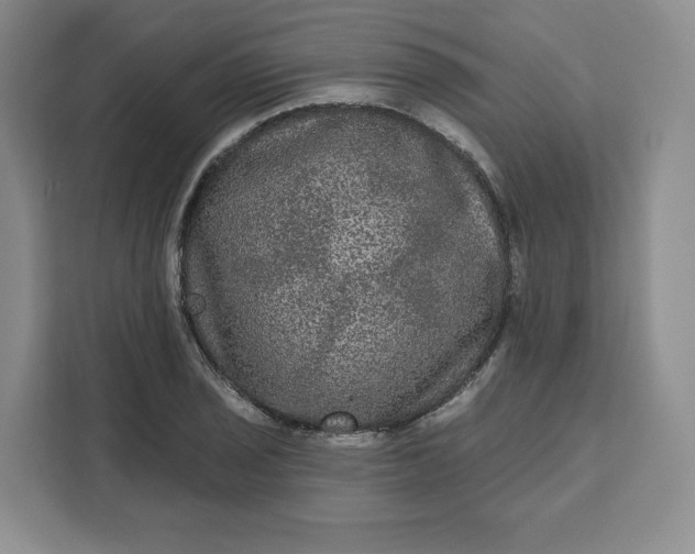 X0000111161029200907141357