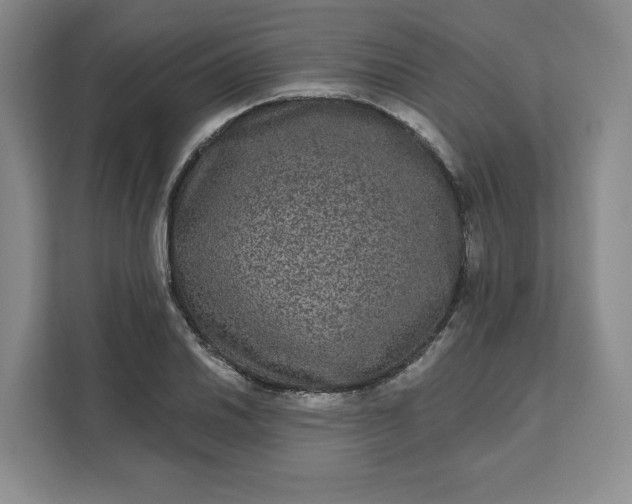 X0000111161030200907141357