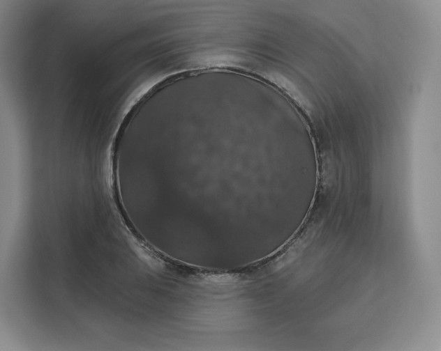 X0000111161031200907141357