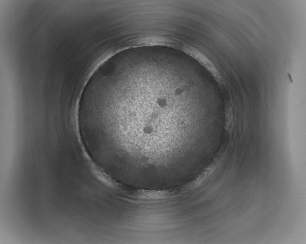 X0000111161039200907141357