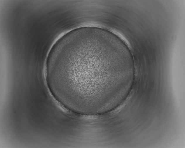 X0000111161040200907141357