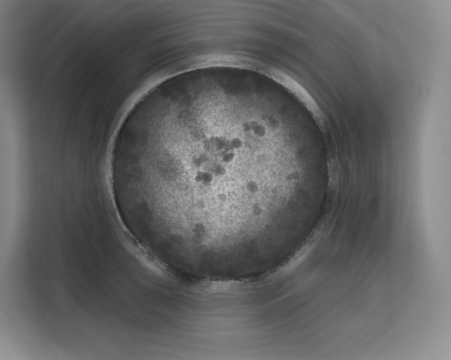 X0000111161043200907141357