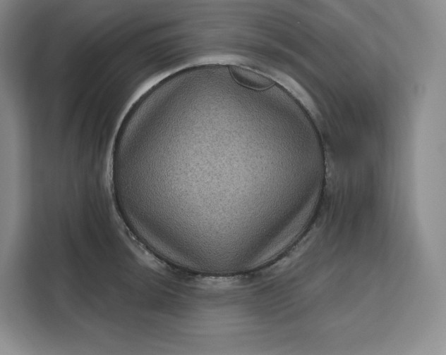 X0000111161044200907141357
