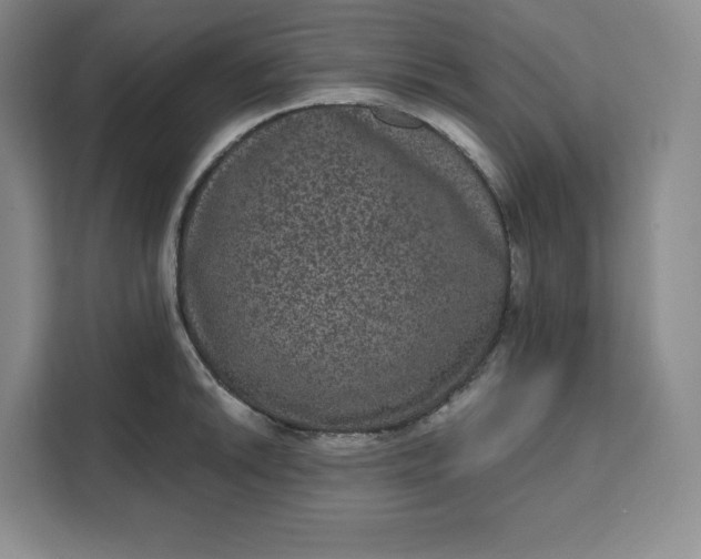 X0000111161046200907141357