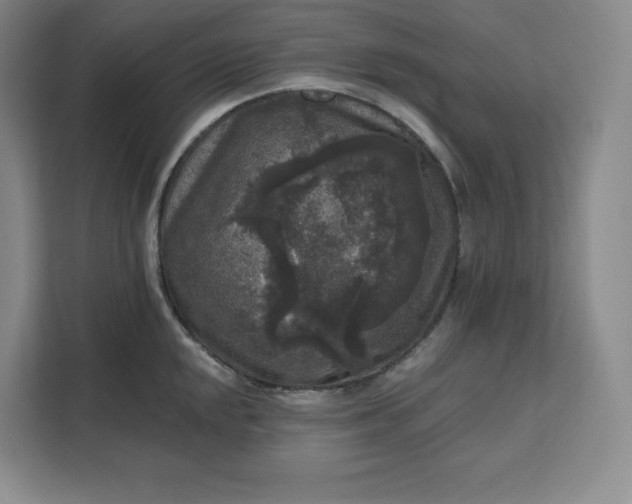 X0000111161048200907141357