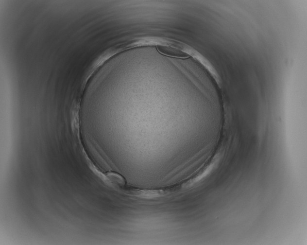 X0000111161049200907141357